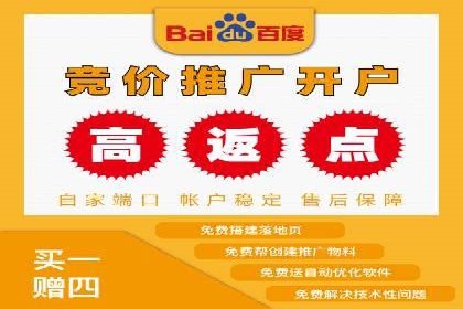 谷歌竞价广告的出价策略及某公司实践案例