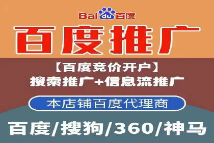 竞价广告的智能投放：XX平台的创新实践